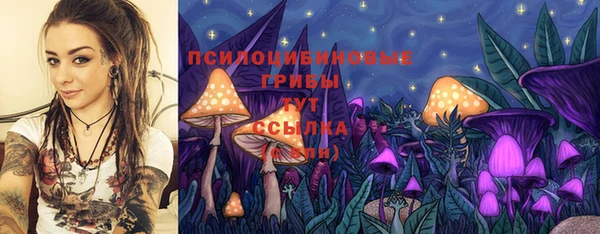 PSILOCYBIN Богданович