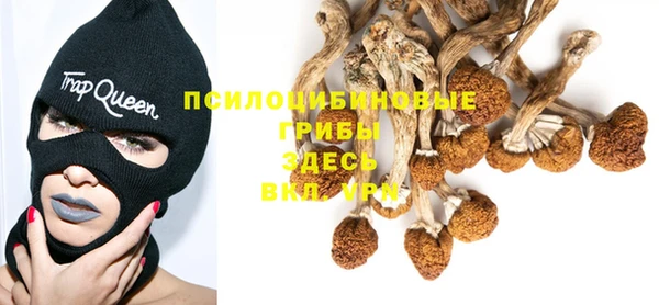 PSILOCYBIN Богданович